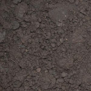 Topsoil BS3882 from Allstone — BS 3882-grade topsoil rich and dark with even friable texture