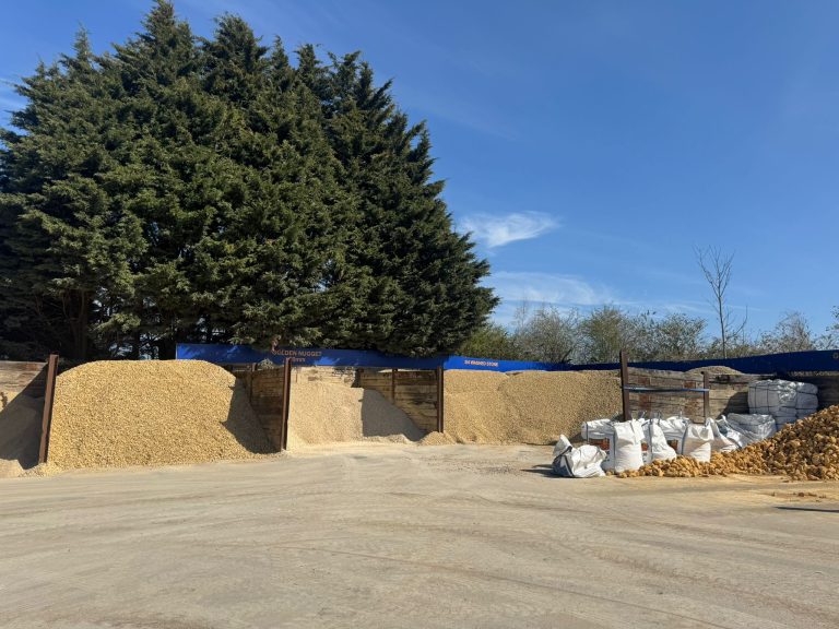 Decorative Landscaping Materials to Transform Outdoor Spaces